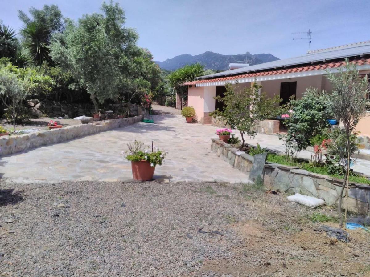 Willa Agriturismo Camboni Annunziata  Zewnętrze zdjęcie